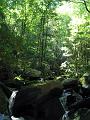 Gatlinberg_TN-7