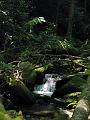 Gatlinberg_TN-8