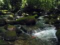 Gatlinberg_TN-9a