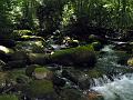 Gatlinberg_TN-9b