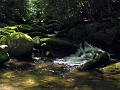 Gatlinberg_TN-9c