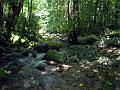Gatlinberg_TN-9d
