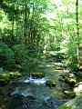 Gatlinberg_TN-9h