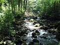 Gatlinberg_TN-9i